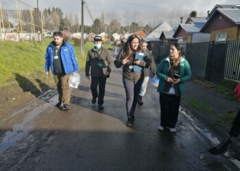 Realizan jornada de fiscalización sobre control de perros abandonados en población Salvador Allende