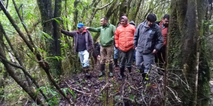En terreno alcalde Vera lideró trabajo de captación de agua para futuro APR