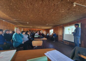 Programa Prodesal de Castro Municipio:  2 años trabajando en el control del gusano blanco