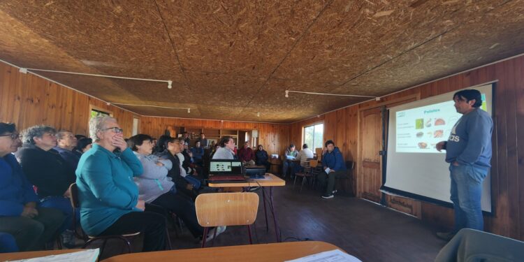 Programa Prodesal de Castro Municipio: 2 años trabajando en el control del gusano blanco