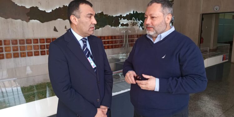 ¡Por fin será una realidad el by pass de Castro!.