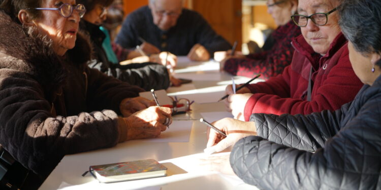 CON UN GRAN ÉXITO DE CONVOCATORIA SE DIO EL VAMOS A LOS TALLERES DE INVIERNO EN CASTRO