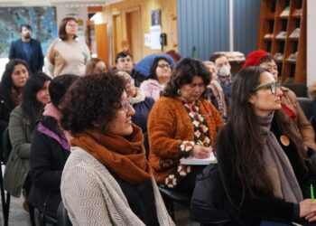 Artesanas de Castro participan en Seminario de Desarrollo Artesanal Tradicional chilote
