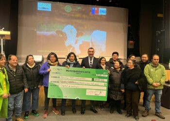 Castro: 150 usuarios del programa PDTI recibieron incentivo por más de 37 millones de pesos