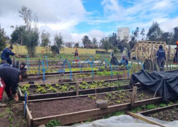 Castro municipio sigue profundizando las capacitaciones para fomentar el emprendimiento local.