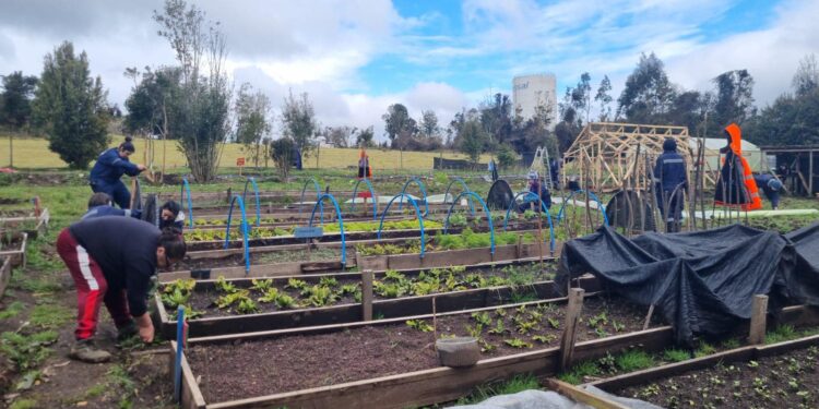 Castro municipio sigue profundizando las capacitaciones para fomentar el emprendimiento local.