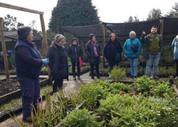 Castro municipio comparte el trabajo del vivero municipal con agricultores