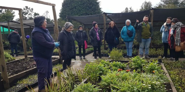 Castro municipio comparte el trabajo del vivero municipal con agricultores