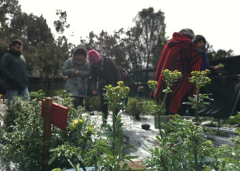 Participantes del Ciclo de talleres Comunitarios de Autocuidado visitaron el Parque Municipal de Castro