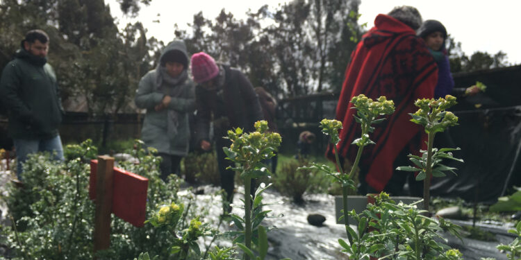 Participantes del Ciclo de talleres Comunitarios de Autocuidado visitaron el Parque Municipal de Castro