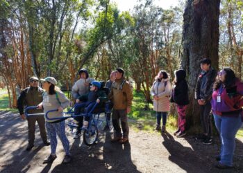 Castro: Realizan recorrido inclusivo por el Parque Municipal