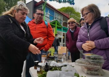 Exitosa Feria Medio Ambiental motivó a vecinos, organizaciones y empresas chilotas