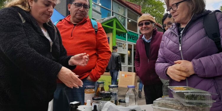 Exitosa Feria Medio Ambiental motivó a vecinos, organizaciones y empresas chilotas