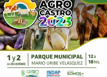 Expo Agro Castro 2023: Celebrando nuestras raíces campesinas