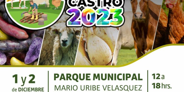 Expo Agro Castro 2023: Celebrando nuestras raíces campesinas