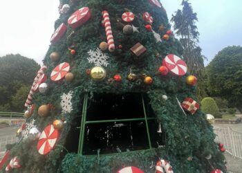 Alcalde Vera: “los delincuentes serán perseguidos en Castro”