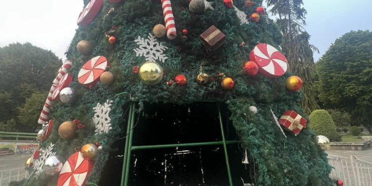 Alcalde Vera: “los delincuentes serán perseguidos en Castro”