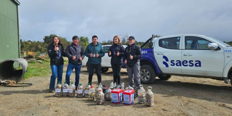 Castro: sacan de circulación más de 120 kilos de pilas en desuso