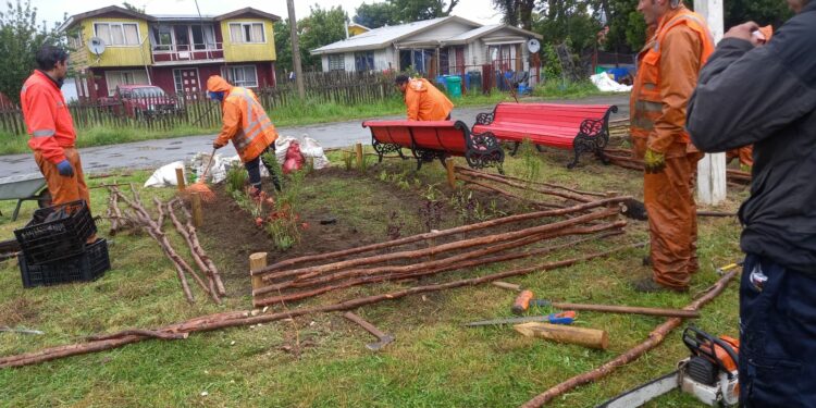 Realizan importantes intervenciones comunitarias en Isla Chelín