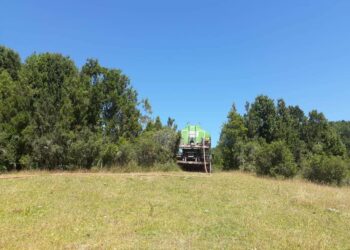 Declaración Pública