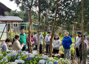 Castro apunta a ser un oasis urbano, verde y sustentable