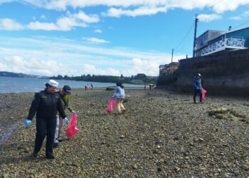 Limpieza de Playas concluye con la recolección de media tonelada de basura en sector Lillo