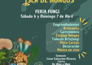 Chiloé: Se viene el Primer Festival Isla de Hongos