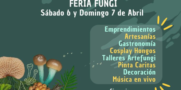 Chiloé: Se viene el Primer Festival Isla de Hongos