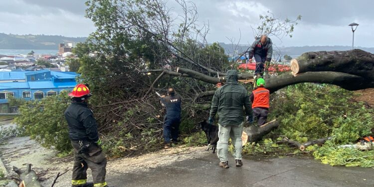 Desde Castro Municipio llaman a estar preparados  y enfrentar juntos futuras emergencias