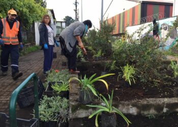 Castro: Recuperan jardines del sector Villa La Esperanza