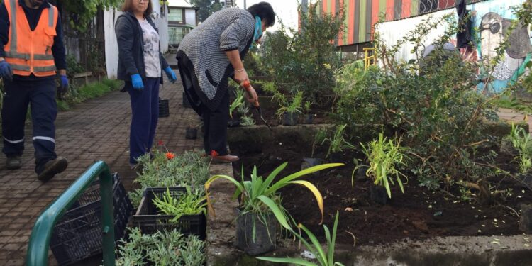 Castro: Recuperan jardines del sector Villa La Esperanza