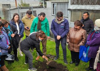Instalarán señaléticas, paraderos y demarcaciones viales en el Barrio Tejiendo Sueños de Castro