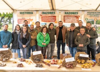 Castro celebra el Día Mundial de la Papa