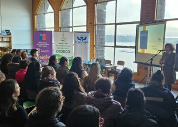 Castro: Gran interés por temas de violencia de género entre instituciones públicas