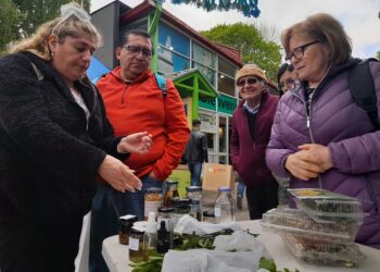 Alcalde de Castro, Juan Eduardo Vera, destacó el impacto del programa “Quiero mi Barrio” en sectores claves de la comuna