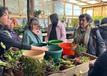 Agricultores de Castro exploraron nuevas oportunidades de crecimiento en primera gira técnica del PDTI