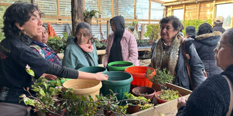 Agricultores de Castro exploraron nuevas oportunidades de crecimiento en primera gira técnica del PDTI