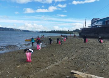 Castro se une para limpiar sus playas en el Día Nacional del Medio Ambiente