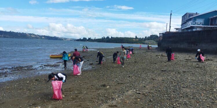 Castro se une para limpiar sus playas en el Día Nacional del Medio Ambiente
