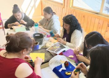 Usuarias del Programa Mujeres Jefas de Hogar aprenden técnica del vellón agujado