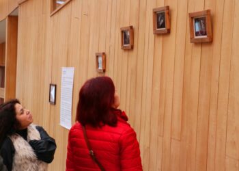 Municipio invita a muestra fotográfica que rescata la naturaleza de Chiloé