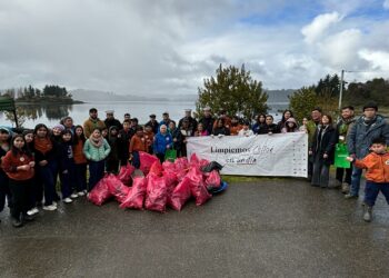 Retiran 700 kilos de residuos tras limpieza en playa de Nercón