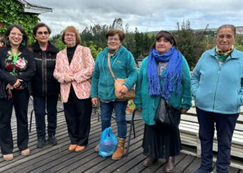 7 Clubes de Adultos Mayores de Castro recibieron fondos del Senama