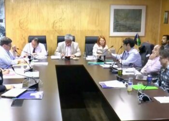 Concejo Municipal de Castro aprueba auditoría externa a la Municipalidad por mayoría