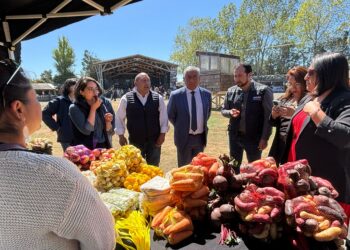 Feria de la Biodiversidad: Más de 160 expositores animan fiesta del campo chilote