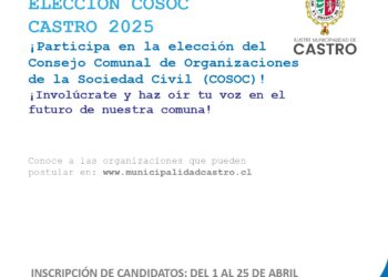 ELECCIÓN COSOC  CASTRO 2025