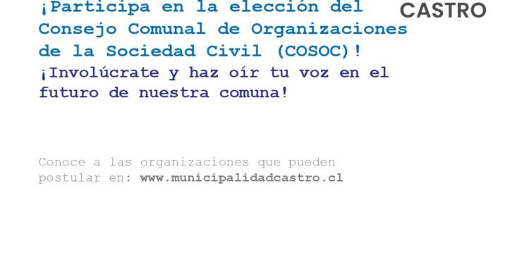 ELECCIÓN COSOC  CASTRO 2025