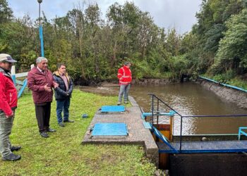 Decretan Emergencia Comunal por turbiedad del agua en Nercón y Gamboa