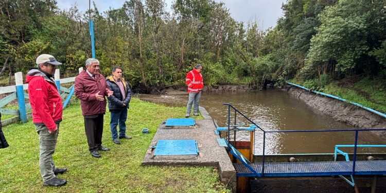 Decretan Emergencia Comunal por turbiedad del agua en Nercón y Gamboa