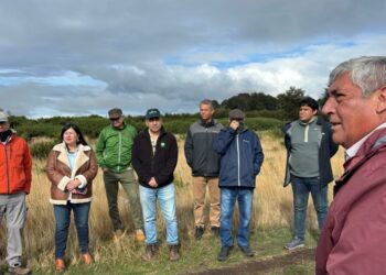 Autoridades destacan recuperación ecológica en bosque experimental de Puacura